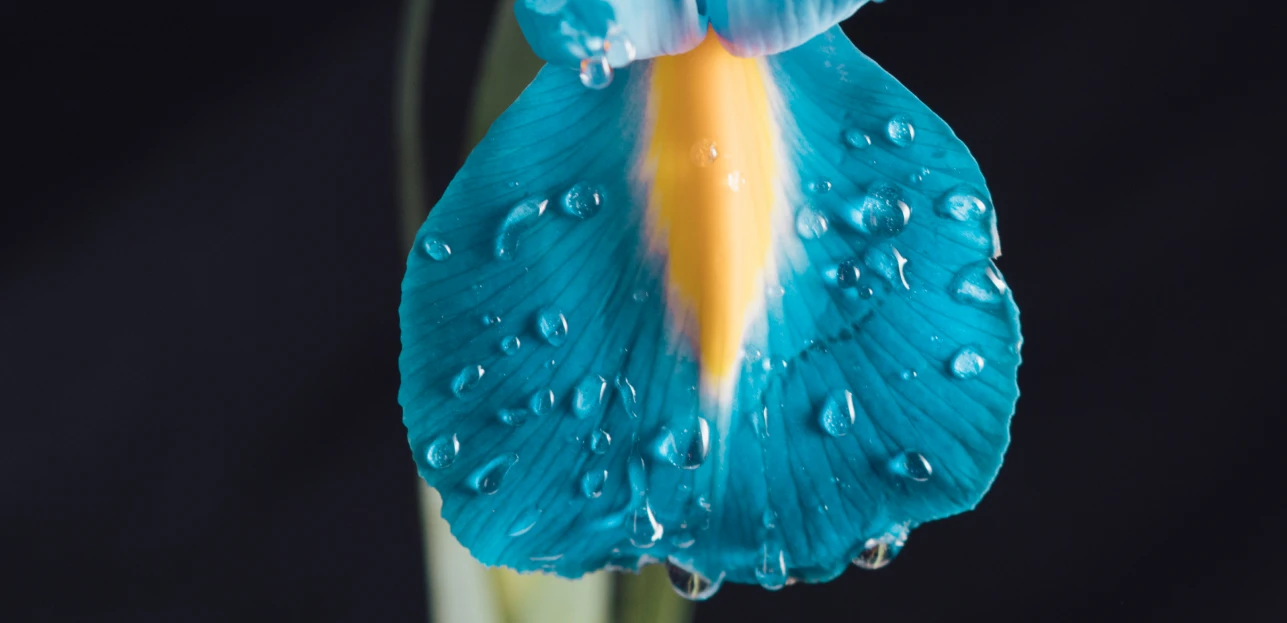 Ogłoszenie o I przetargu na sprzedaż maceratora – rozstrzygnięty